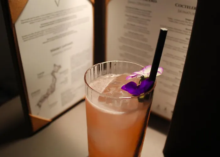 Gran Barcino 4 Estrellas Superior